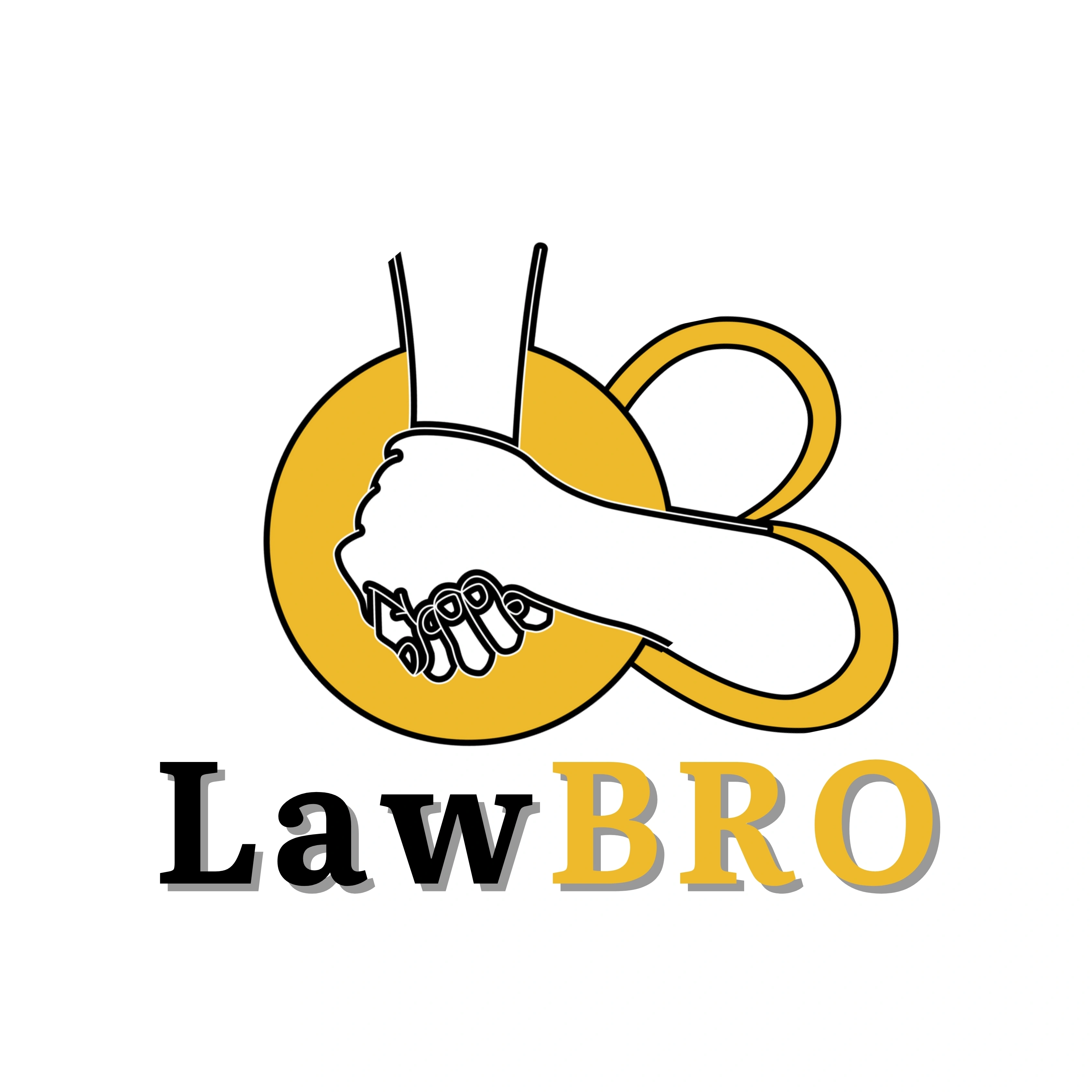 Webinar : Introduction to Legal Research